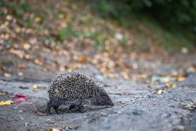 卓越视野 卓越视野