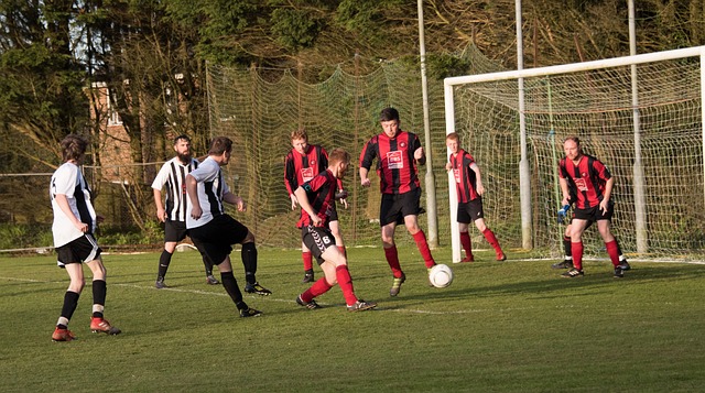 便开启了进 便开启了进