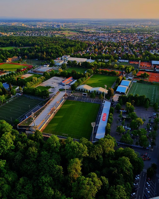 在分析詹金 在分析詹金