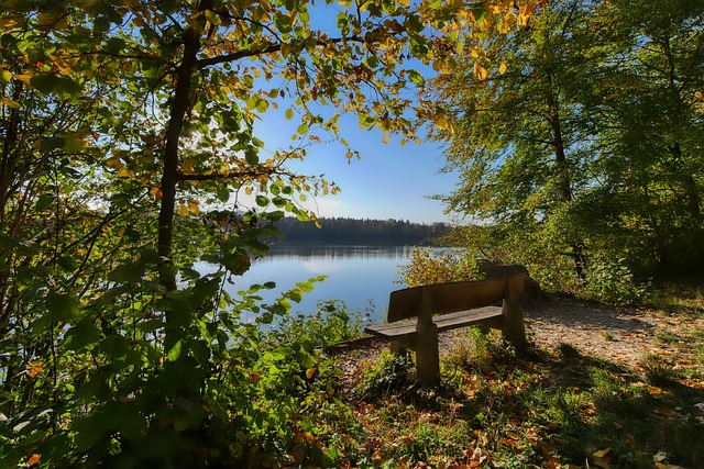 我们聚焦N 我们聚焦N