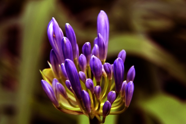 在增肌的过 在增肌的过