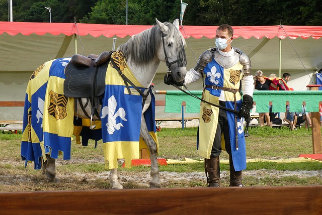 賽的球迷發 賽的球迷發