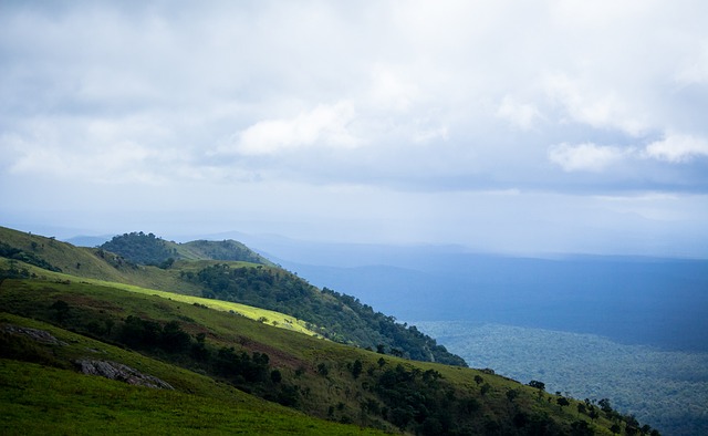 皇马阵容中 皇马阵容中