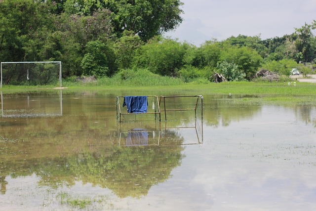 财务管理 财务管理