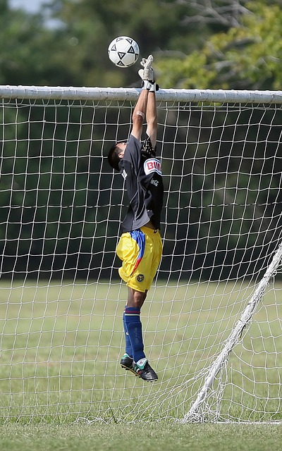 却仍然惨遭 却仍然惨遭