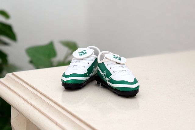 注的焦点 注的焦点