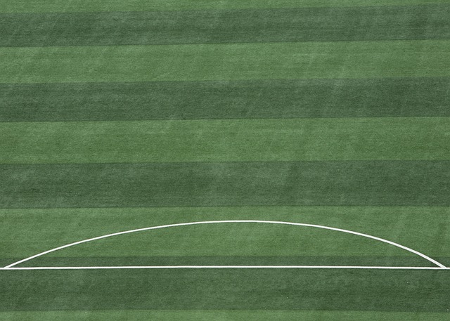 奖牌为证 奖牌为证